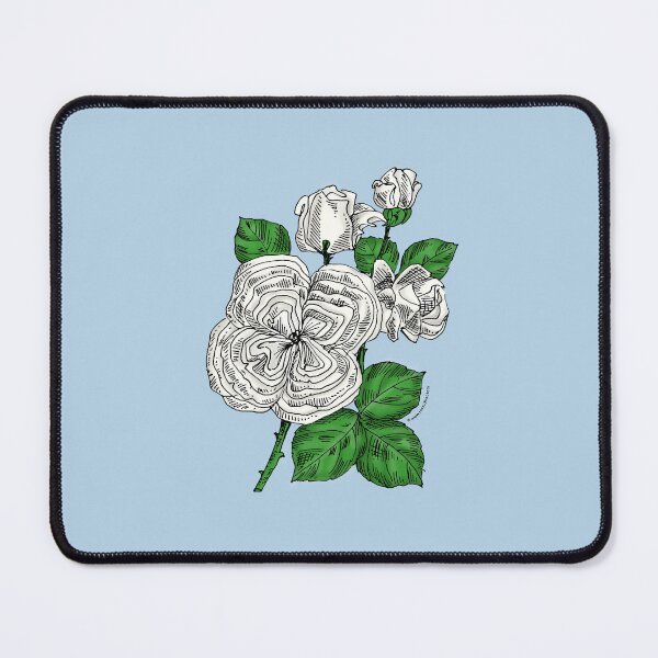 Item preview, White Quartered Rose Bloom Full 26-40 Petals In 3+ Rows designed and sold by Rachael Taylor.