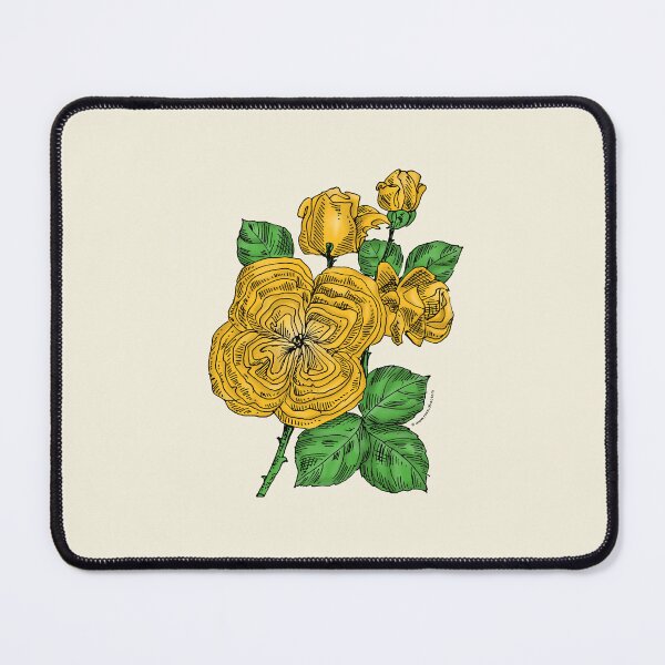 Item preview, Yellow Quartered Rose Bloom Full 26-40 Petals In 3+ Rows designed and sold by Rachael Taylor.