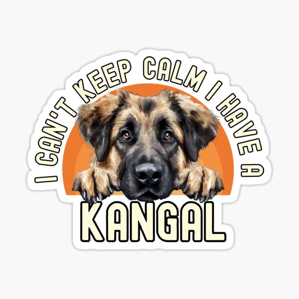 Artikel-Vorschau von Ich kann nicht ruhig bleiben, ich habe einen Kangal, designt und verkauft von TheAnimalZ00.