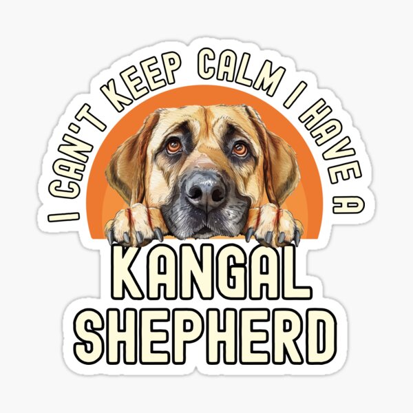 Artikel-Vorschau von Ich kann nicht ruhig bleiben, ich habe einen Kangal-Schäferhund, designt und verkauft von TheAnimalZ00.