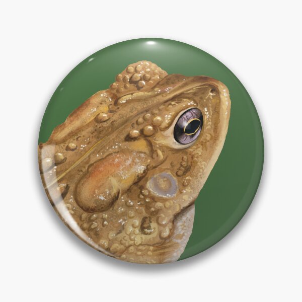 Artikelvorschau, Amerikanische Kröten-Naturforscher-Illustration entworfen und verkauft von Nick Garnhart.