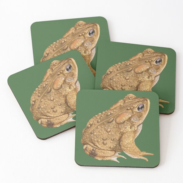 Item preview, American Toad Naturalist Illustration designed and sold by Nick Garnhart.