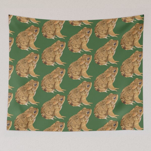 Item preview, American Toad Naturalist Illustration designed and sold by Nick Garnhart.