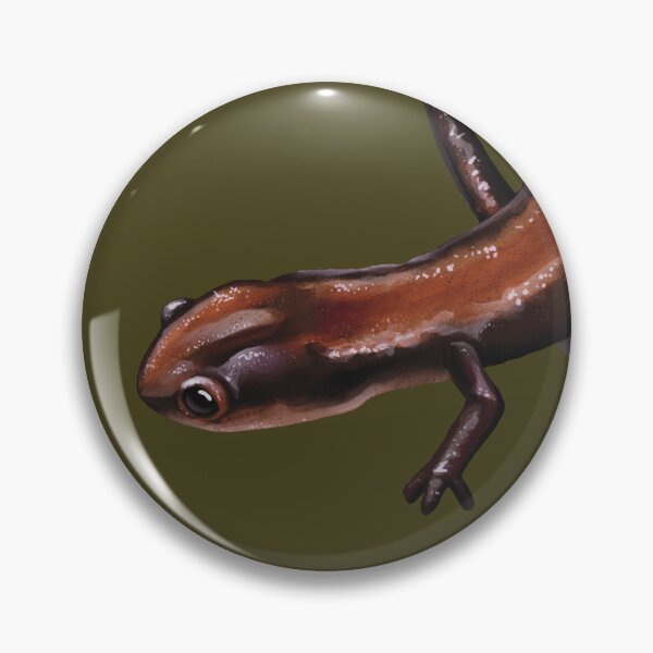 Artikelvorschau, Rotrückensalamander, Naturkundler, Abbildung entworfen und verkauft von Nick Garnhart.