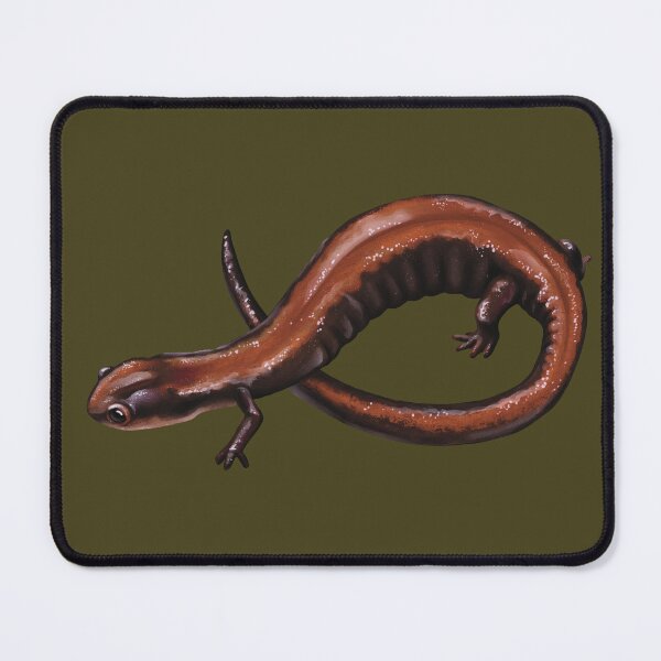 Item preview, Red Backed Salamander Naturalist Illustration designed and sold by Nick Garnhart.