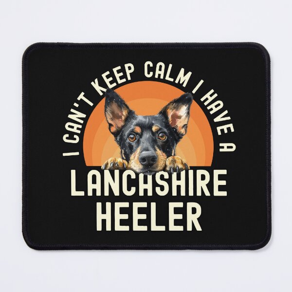Item preview, I Cant Keep Calm I Have A Lancashire Heeler designed and sold by TheAnimalZ00.