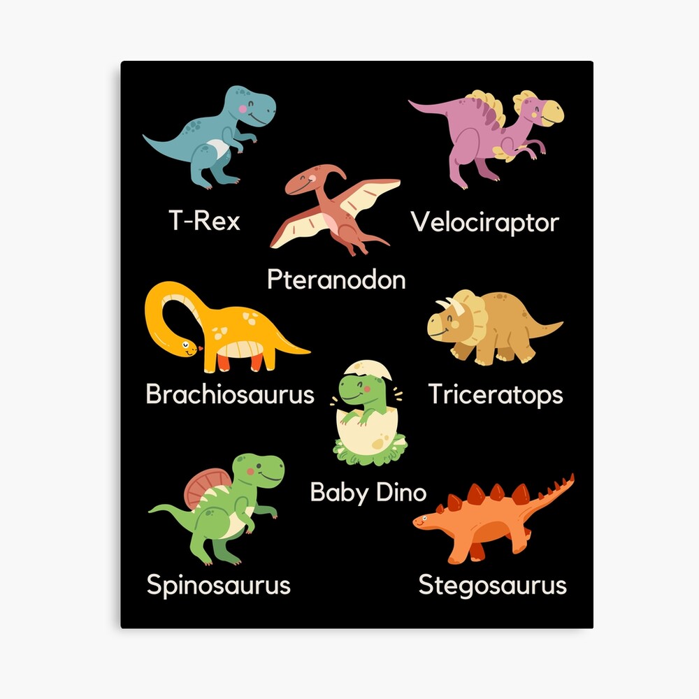 Types of Dinosaur Poster