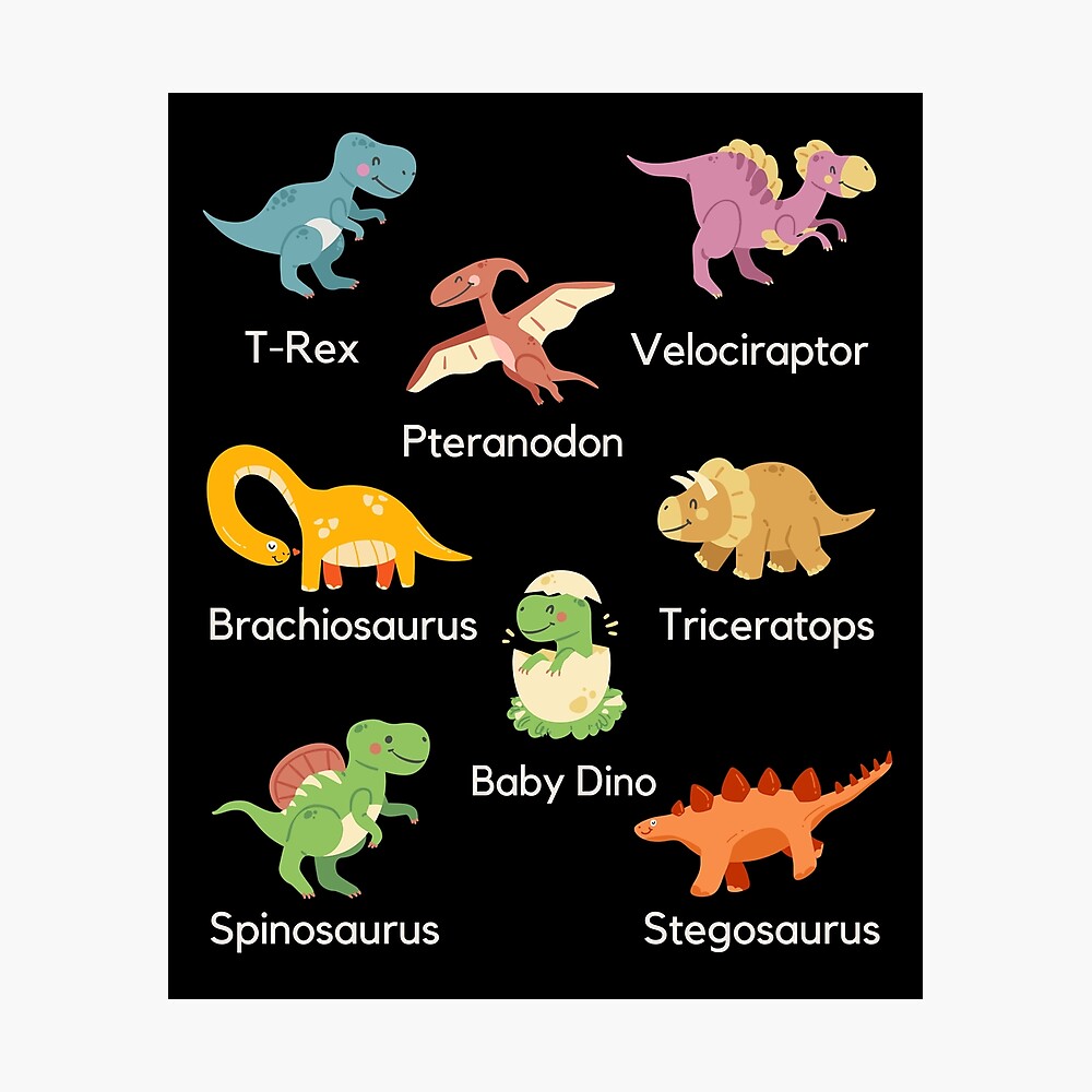 Types of Dinosaur Poster