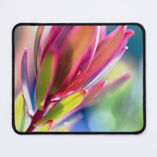Item preview, Leucadendron, Safari Sunset - Abstract designed and sold by imaginethis.
