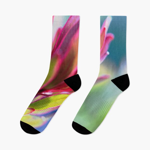 Item preview, Leucadendron, Safari Sunset - Abstract designed and sold by imaginethis.