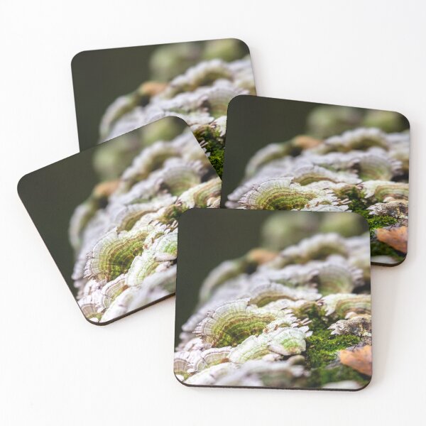 Item preview, The Little Details of Nature designed and sold by KittyKatCreates.