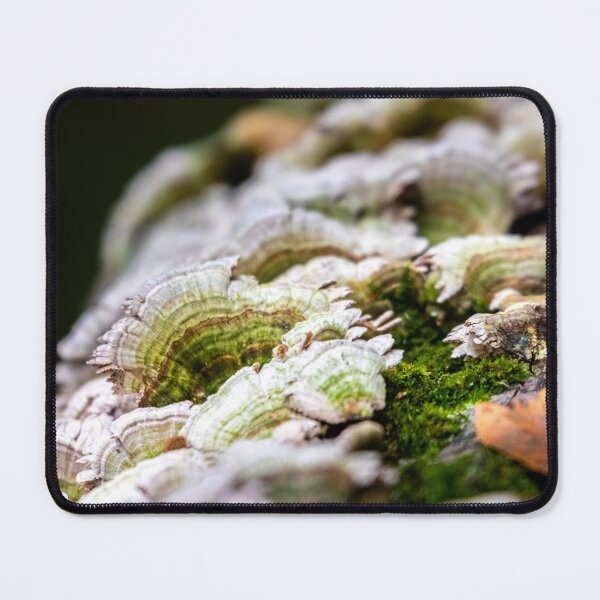 Item preview, The Little Details of Nature designed and sold by KittyKatCreates.