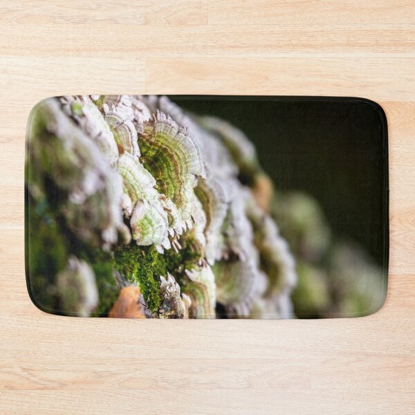Item preview, The Little Details of Nature designed and sold by KittyKatCreates.