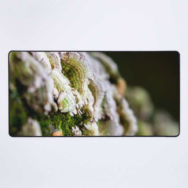 Item preview, The Little Details of Nature designed and sold by KittyKatCreates.