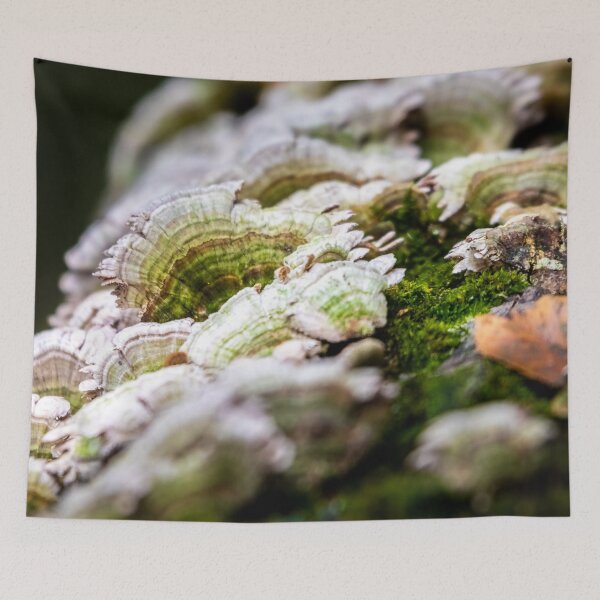 Item preview, The Little Details of Nature designed and sold by KittyKatCreates.