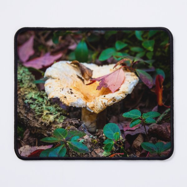 Item preview, Mushroom designed and sold by KittyKatCreates.