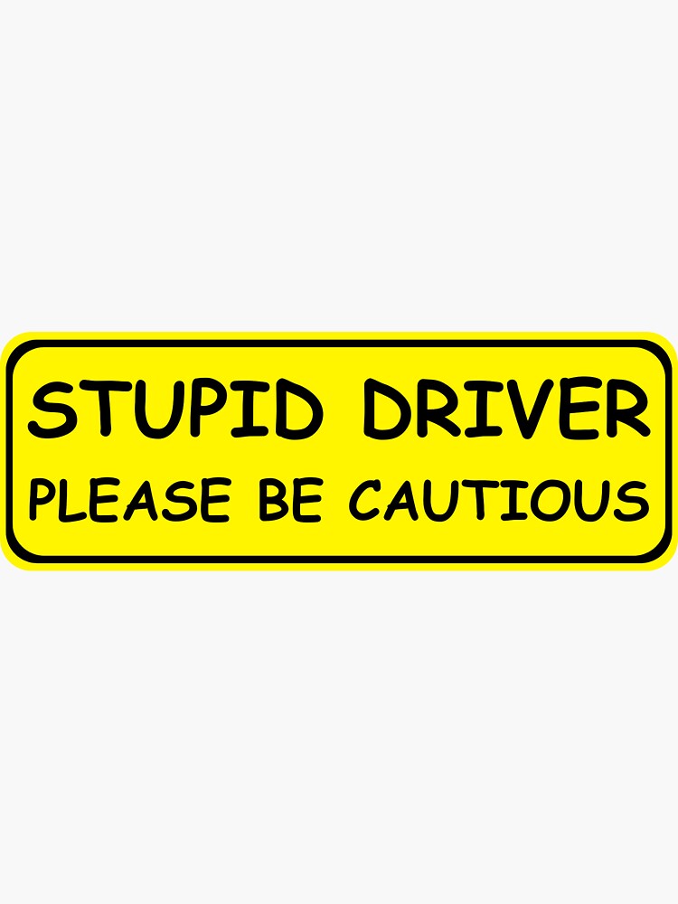 Warning I Do Stupid Things Bumper Sticker/Decal
