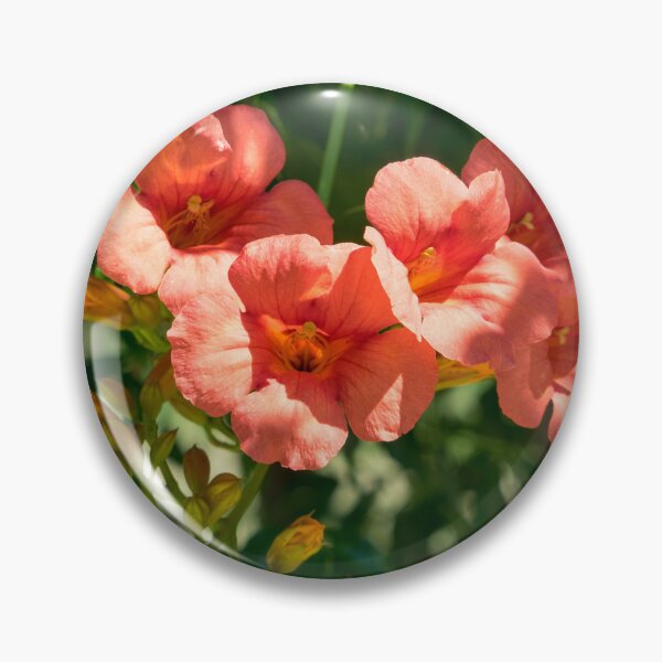 Item preview, Hummingbird Vine with a Showy Cluster of Orange Trumpet Flowers designed and sold by Georgia Mizuleva.