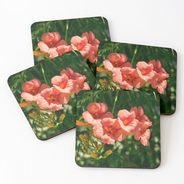 Item preview, Hummingbird Vine with a Showy Cluster of Orange Trumpet Flowers designed and sold by Georgia Mizuleva.