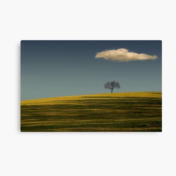 Overshadowed Canvas Print