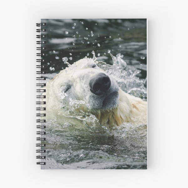 Item preview, Polar Bear's Aqua Aura designed and sold by rawshutterbug.