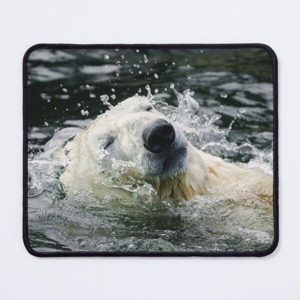 Item preview, Polar Bear's Aqua Aura designed and sold by rawshutterbug.