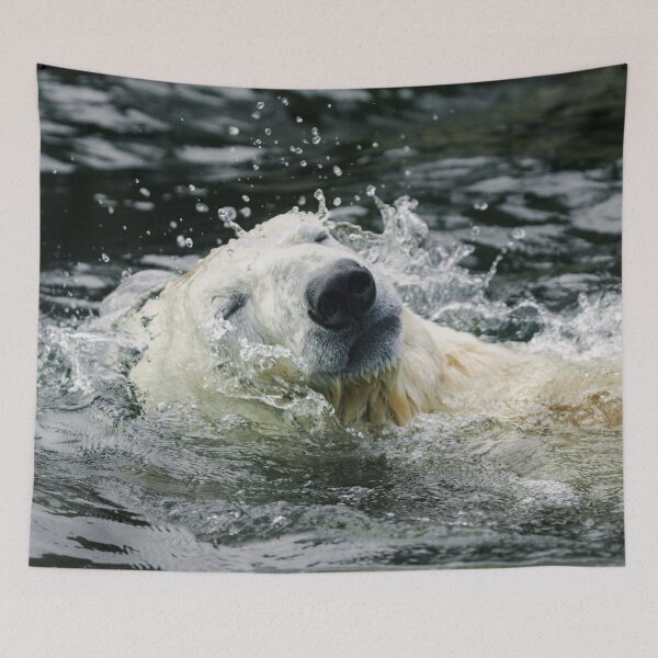 Item preview, Polar Bear's Aqua Aura designed and sold by rawshutterbug.