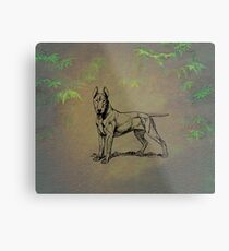 Bull Terrier Metal Print