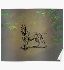 Bull Terrier Poster