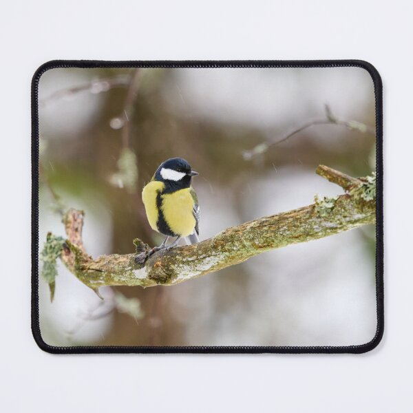 Item preview, When the winter fights back. Great tit designed and sold by Jouko Lehto Photography.