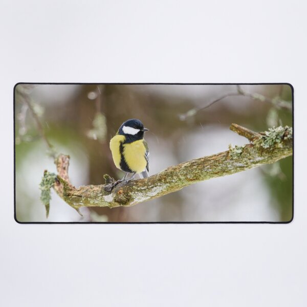 Item preview, When the winter fights back. Great tit designed and sold by Jouko Lehto Photography.