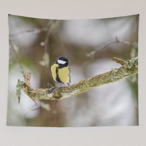 Item preview, When the winter fights back. Great tit designed and sold by Jouko Lehto Photography.