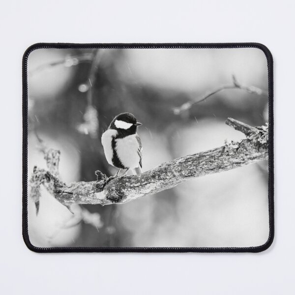 Item preview, When the winter fights back. Great tit bw designed and sold by Jouko Lehto Photography.