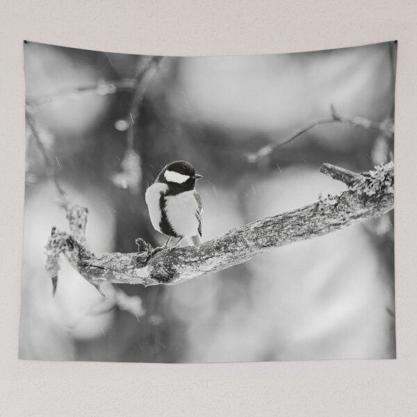 Item preview, When the winter fights back. Great tit bw designed and sold by Jouko Lehto Photography.