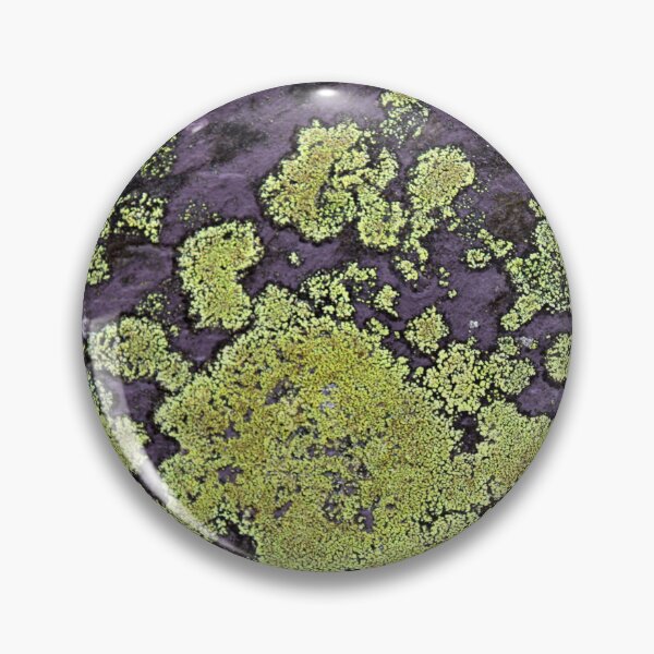 Item preview, Slate lichen designed and sold by KathleenDawson.