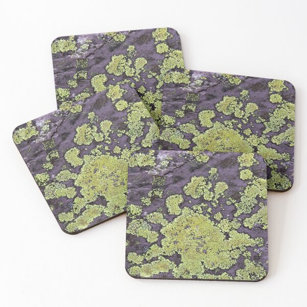 Item preview, Slate lichen designed and sold by KathleenDawson.