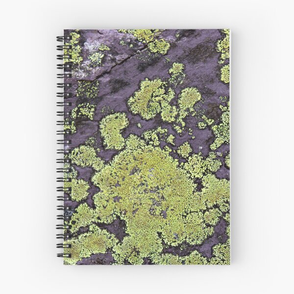 Item preview, Slate lichen designed and sold by KathleenDawson.