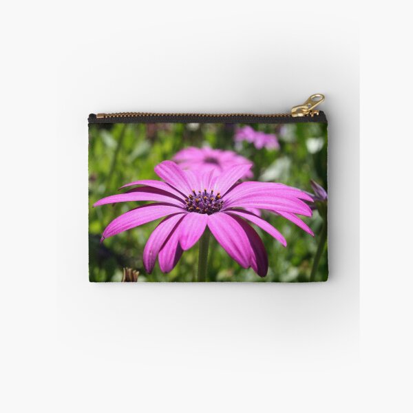 Item preview, Side View Of A Purple Osteospermum With Garden Background designed and sold by taiche.