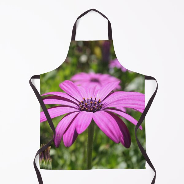 Item preview, Side View Of A Purple Osteospermum With Garden Background designed and sold by taiche.