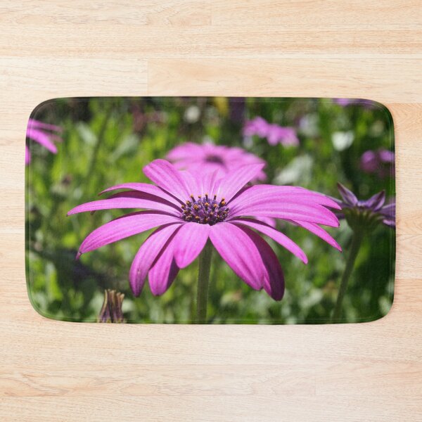Item preview, Side View Of A Purple Osteospermum With Garden Background designed and sold by taiche.
