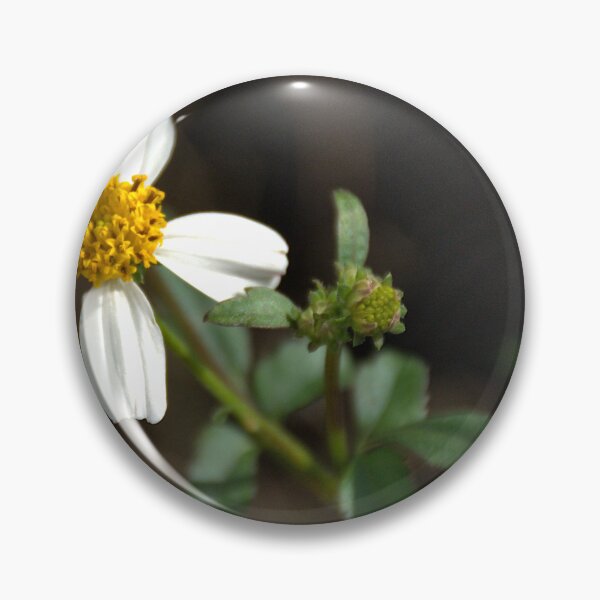 Item preview, Honey Bee and Bidens Alba  designed and sold by MercerImages.