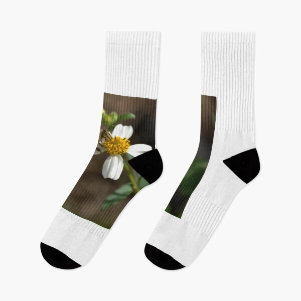 Item preview, Honey Bee and Bidens Alba  designed and sold by MercerImages.