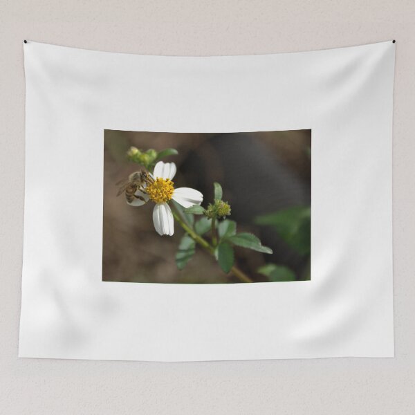Item preview, Honey Bee and Bidens Alba  designed and sold by MercerImages.