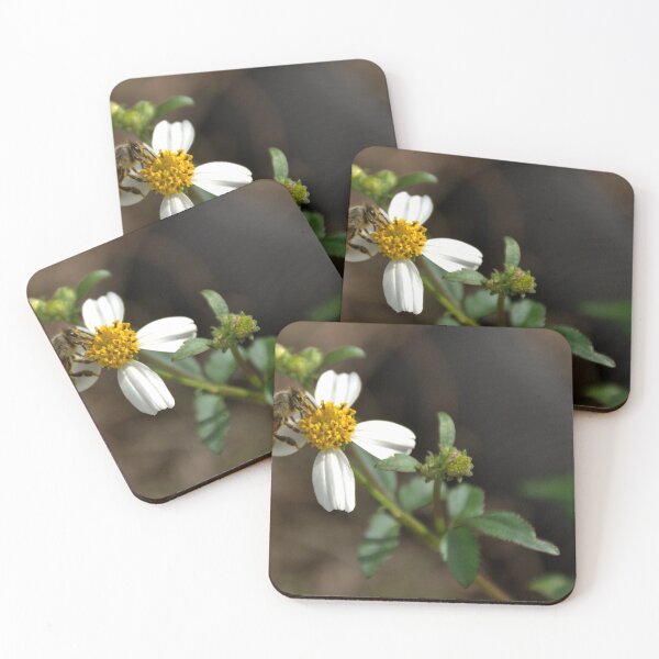 Item preview, Honey Bee and Bidens Alba  designed and sold by MercerImages.