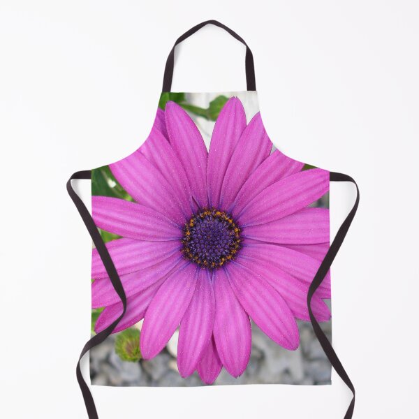 Item preview, Violet Pink Osteospermum Flower Daisy Close Up designed and sold by taiche.