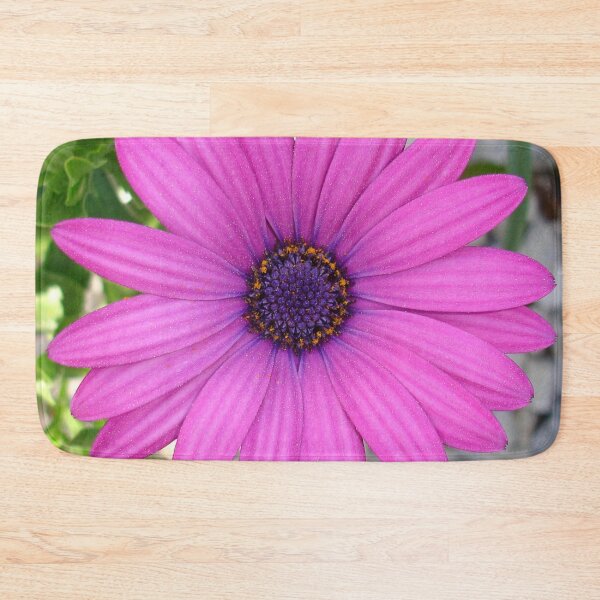 Item preview, Violet Pink Osteospermum Flower Daisy Close Up designed and sold by taiche.