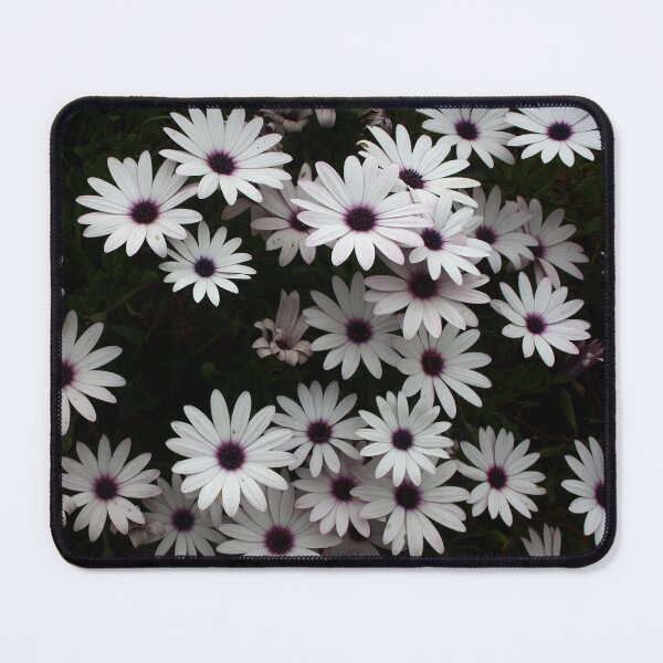 Item preview, White African Daisies In A Flower Bed designed and sold by taiche.
