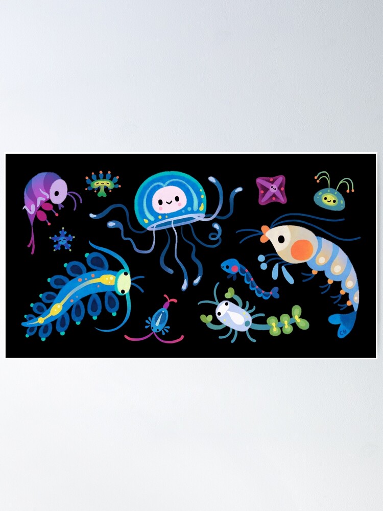 Alternate view of Zooplankton Poster