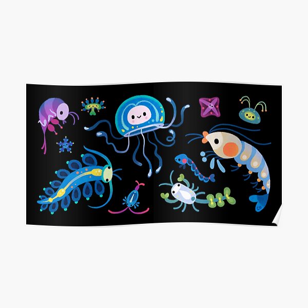 Zooplankton Poster