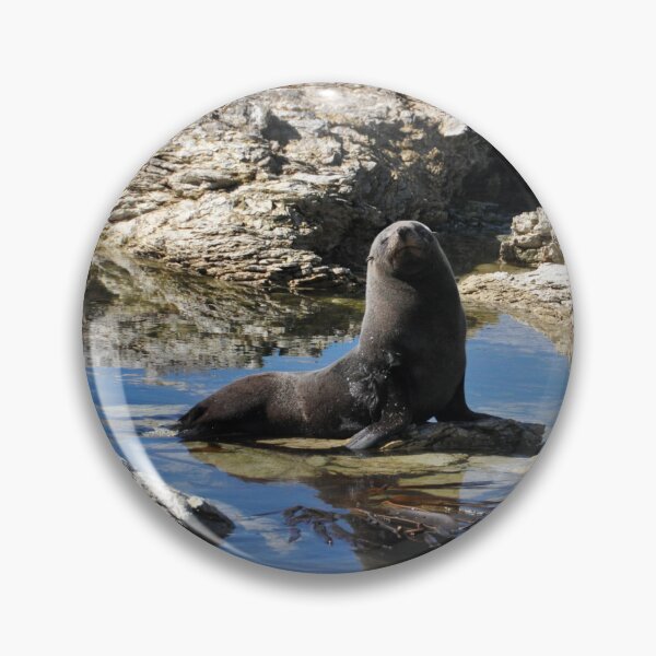Item preview, Seal in the Kaikoura Peninsula designed and sold by franck380.
